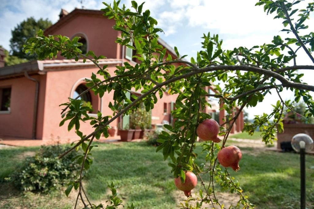 فيلا Podere Chiaromonte بالايا المظهر الخارجي الصورة